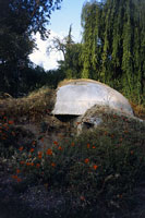 Bunker tra i papaveri