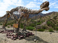 Dinosauro a Ischigualasto