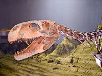 Sanjuansaurus gordilloi a Ischigualasto