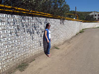 Muro di targhe azere a Vank