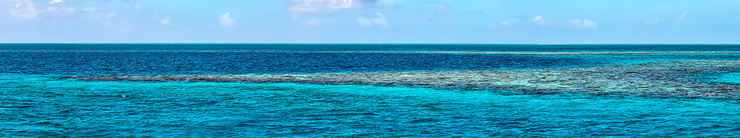 Panorama a 180° del grande Buco Blu nella Lighthouse Reef