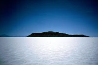 L'isla Incahuasi al centro del Salar di Uyuni