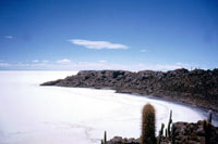 L'isla Incahuasi al centro del mare di sale del Salar di Uyuni