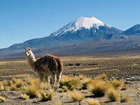 Il Parinacota, 6348 m