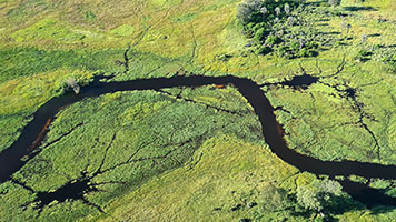 Il delta dell'Okawango dall'alto 2