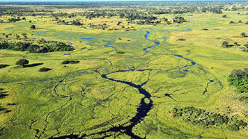 Il delta dell'Okawango dall'alto 32