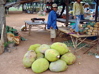 Frutti di Durian