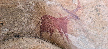 Mucca dalle lunghe corna, periodo bovidiano, pitture rupestri di Bir Cheyro 
