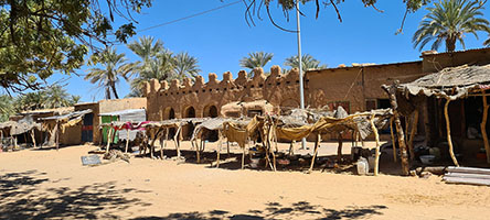 Antiche costruzioni in mattoni di fango sulla piazza di Fada