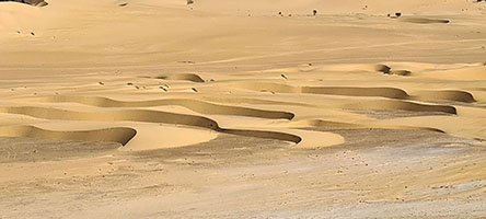 Dune barcane lungo la depressione del Mourdi