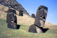 Moai presso la cava