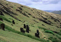 Moai in collina 1