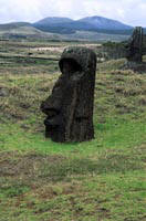 Moai in pianura