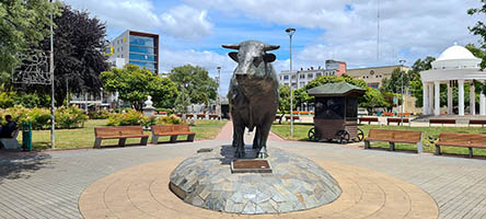Statua di toro in Plaza de Armas di Osorno