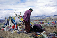 Tibetani in raccoglimento ad un passo