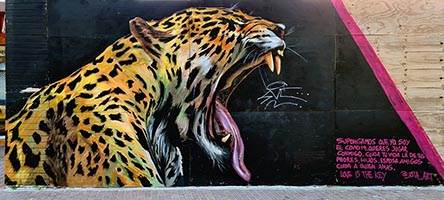 Medellin, El Poblado, murale 