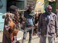 Venditori di polli al mercato di Macallè