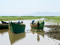 Barche da pesca sul lago Turkana