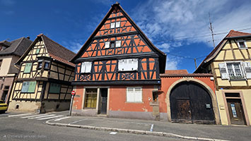Antilopi in lotta 2