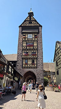 Antilopi in lotta 2