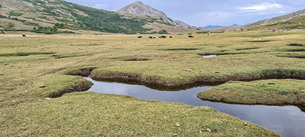 I pascoli nei pressi del lago di Ninu