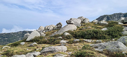 Paesaggio montuoso del sud