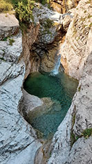 Polla d'acqua trasparente