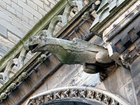 Notre Dame - Gargoyles