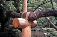 Dettaglio di un sostegno di un albero nel giardino di Kanazawa