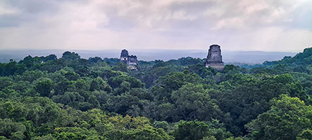 Vista sulla giungla del Petèn a Tikal