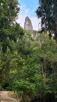 Tempio V (visto dal retro) a Tika