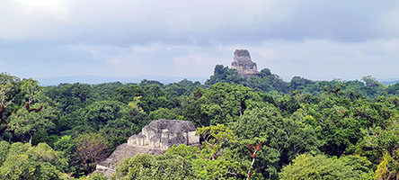 Piramidi a Tikal