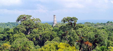 Tempio IV o del Serpente Bicefalo, alto 70 m, a Tikal