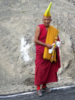 Lama in attesa del Dalai Lama