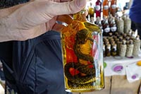 Liquore di riso al serpente nel villaggio di Ban Xang Hai