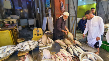 Al mercato del pesce di Bassora