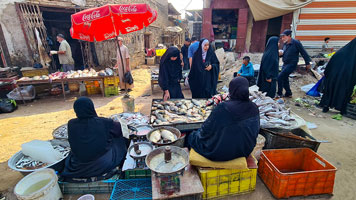 Donne al mercato del pesce di Bassora