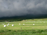 Paesaggio campestre islandese