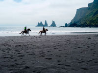 Cavalli in spiaggia a Vik
