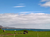 Panorama agreste passata Grindavík