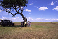 Il Parco Nazionale Masai Mara