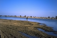 Piste lungo il fiume Niger 