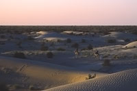 Tramonto nel deserto presso il Niger