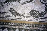 Mosaco romano con animali marini a Volubilis