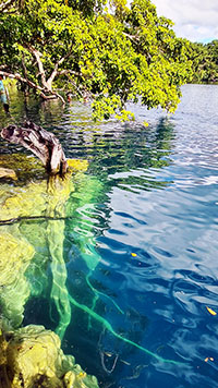 Sponda del cenote Azul a Bacalar