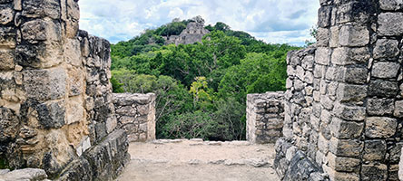 Vista dall'alto della Piramide di Calakmul