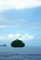 Una tra le centinaia di Rock Islands di Palau