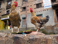 Galli a Bhaktapur