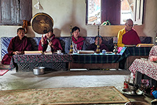 Lama alla festa di primavera a Tache 