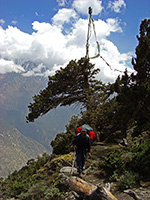 Pasang Sherpa tra i pini scendendo verso valle